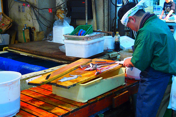 魚類・海産物販売、漁港活性化イメージ