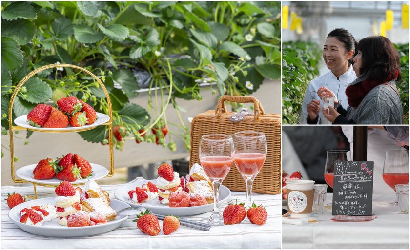 <いちご専門店の道の駅 いちごBonBonBERRY> 大好評の直営農園でのいちご狩りイベントを2026年も開催!