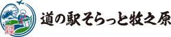 道の駅道の駅おがわまち