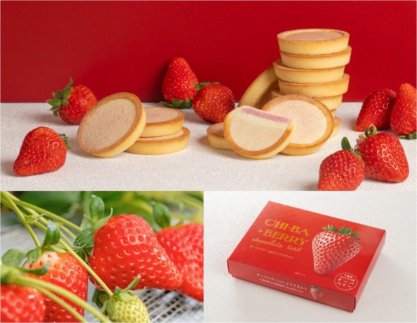 "10年かけて誕生したいちご「チーバベリー」をつかった 甘酸っぱい苺が紡ぐ千葉の新商品! ― 「チーバベリーショコラタルト」2026年3月6日新発売 ― "