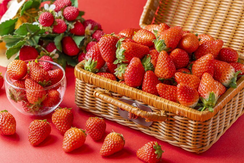 <いちご専門店の道の駅 いちごBonBonBERRY> いちご狩り気分で気軽にお席で楽しめる! 「静岡いちごの食べ放題」を3月1日(日)から1か月開催!