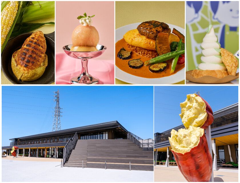 道の駅常総「HOT&COOL祭り」を8月8日(土)~16日(日)に開催! 水遊び・スイカ・縁日・抽選会など、 お盆休みは家族みんなで“熱くて涼しい”夏を満喫!