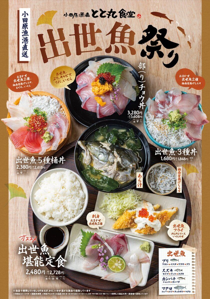 「食べて運気も出世する!?」縁起魚が大集合! 小田原漁港直送「出世魚祭り」開催 ブリ・スズキ・カンパチなど、成長とともに名を変える “出世魚”を豪快に味わう!